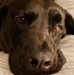 Meet your Posher, Krystal